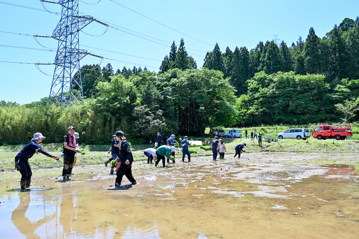 大川原地区で田植えをする参加者ら