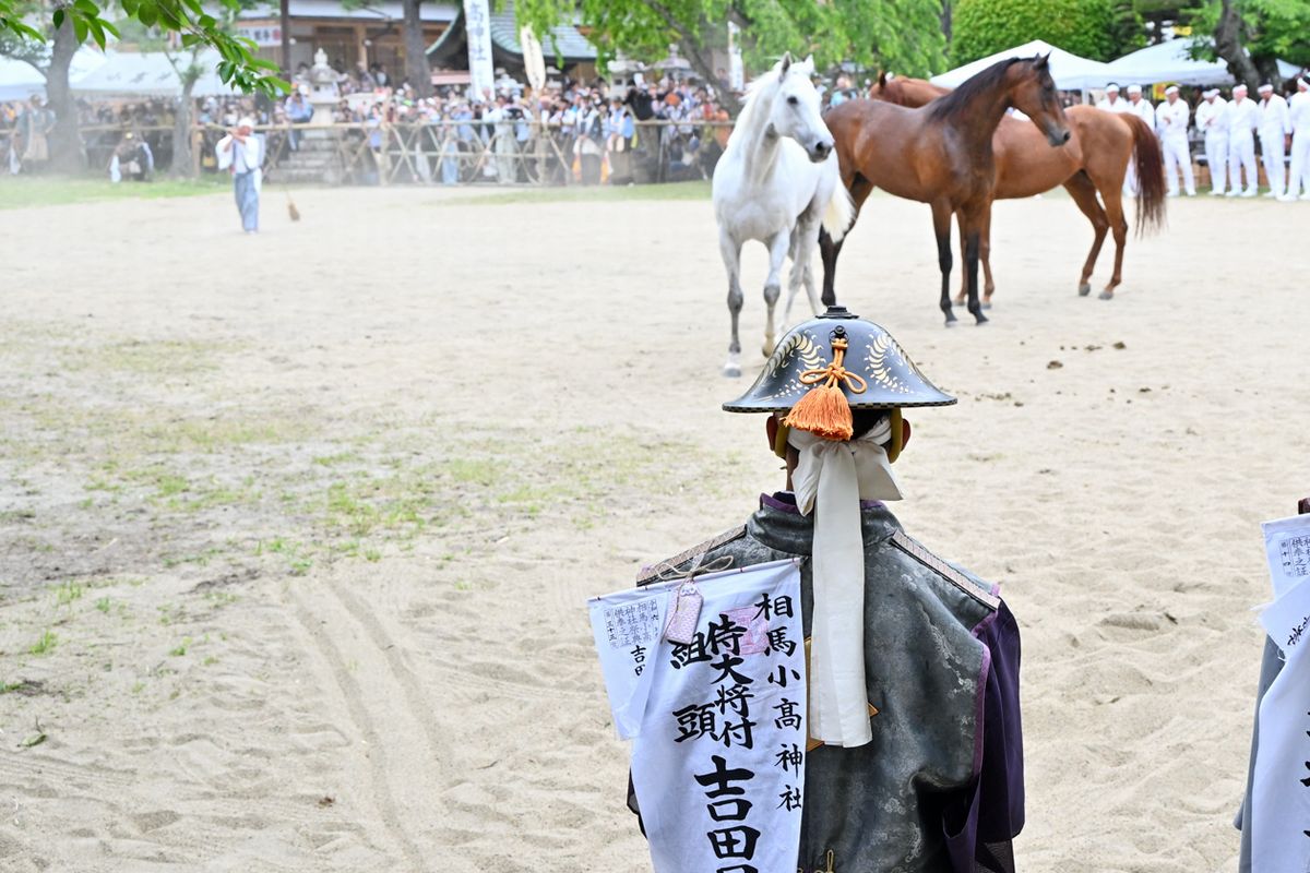 相馬野馬追の最終日には、絵馬の由来とされる神事の野馬懸（のまかけ）が相馬小高神社で執り行われ、囲いの中に放たれた野馬の中から、神社に奉納する御神馬を選ぶ野馬の追い込みが行われました。写真は囲いから野馬が出ないように見張る吉田さん