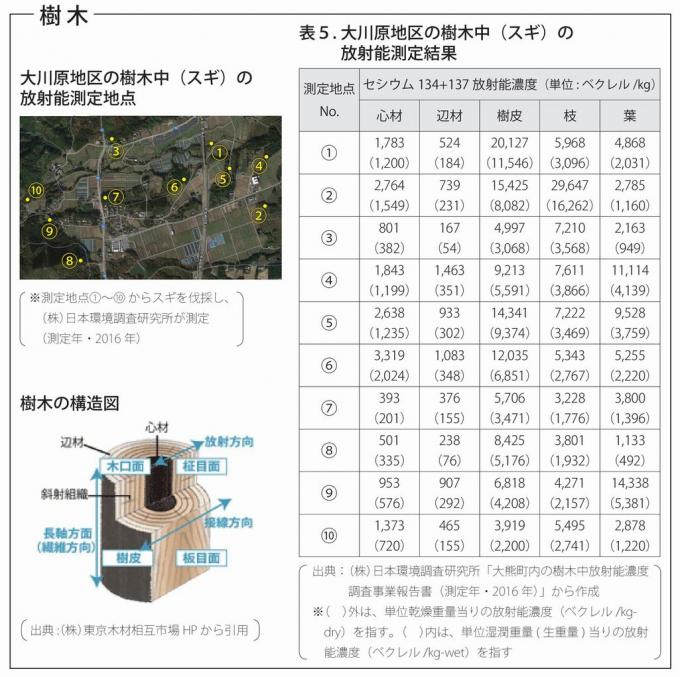 樹木の放射性物質の測定報告（大川原地区の樹木中（スギ）の放射線測定10地点の画像、表5は大川原地区の樹木中（スギ）の10地点の放射線測定結果、樹木の構造図）