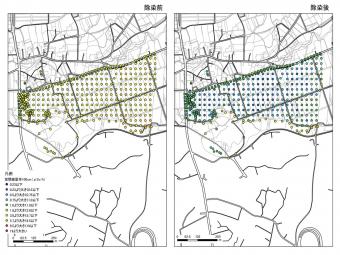 除染前後の空間線量率の比較図