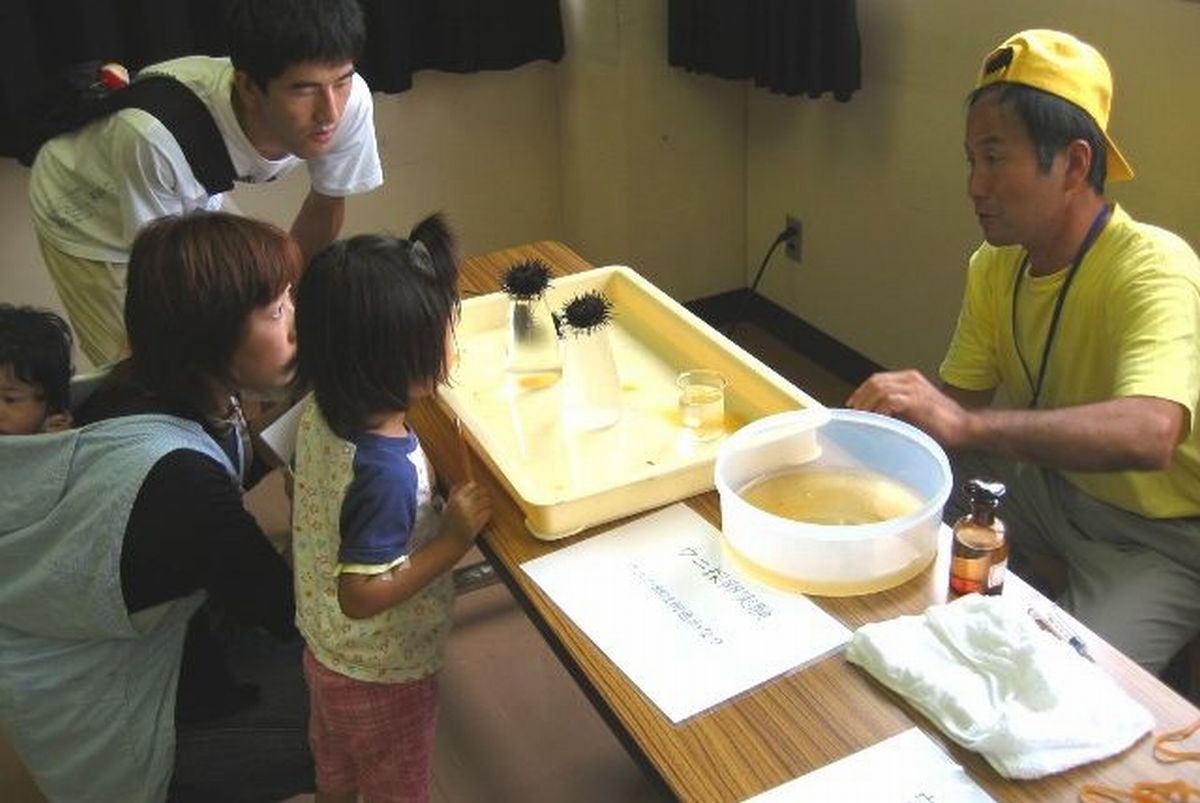 生物実験コーナーでウニの採卵にチャレンジする親子