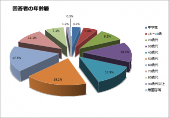 回答者の年齢層の円グラフ