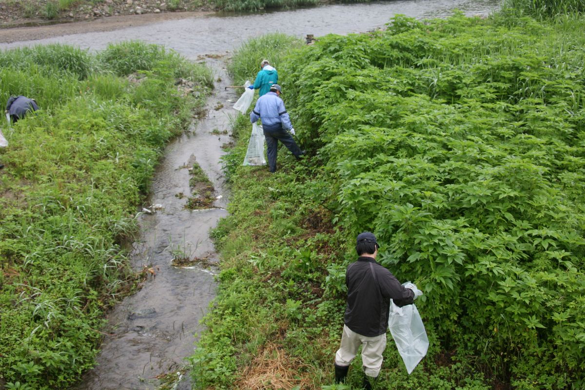 道路だけでなく河川に投棄されているゴミも清掃しました