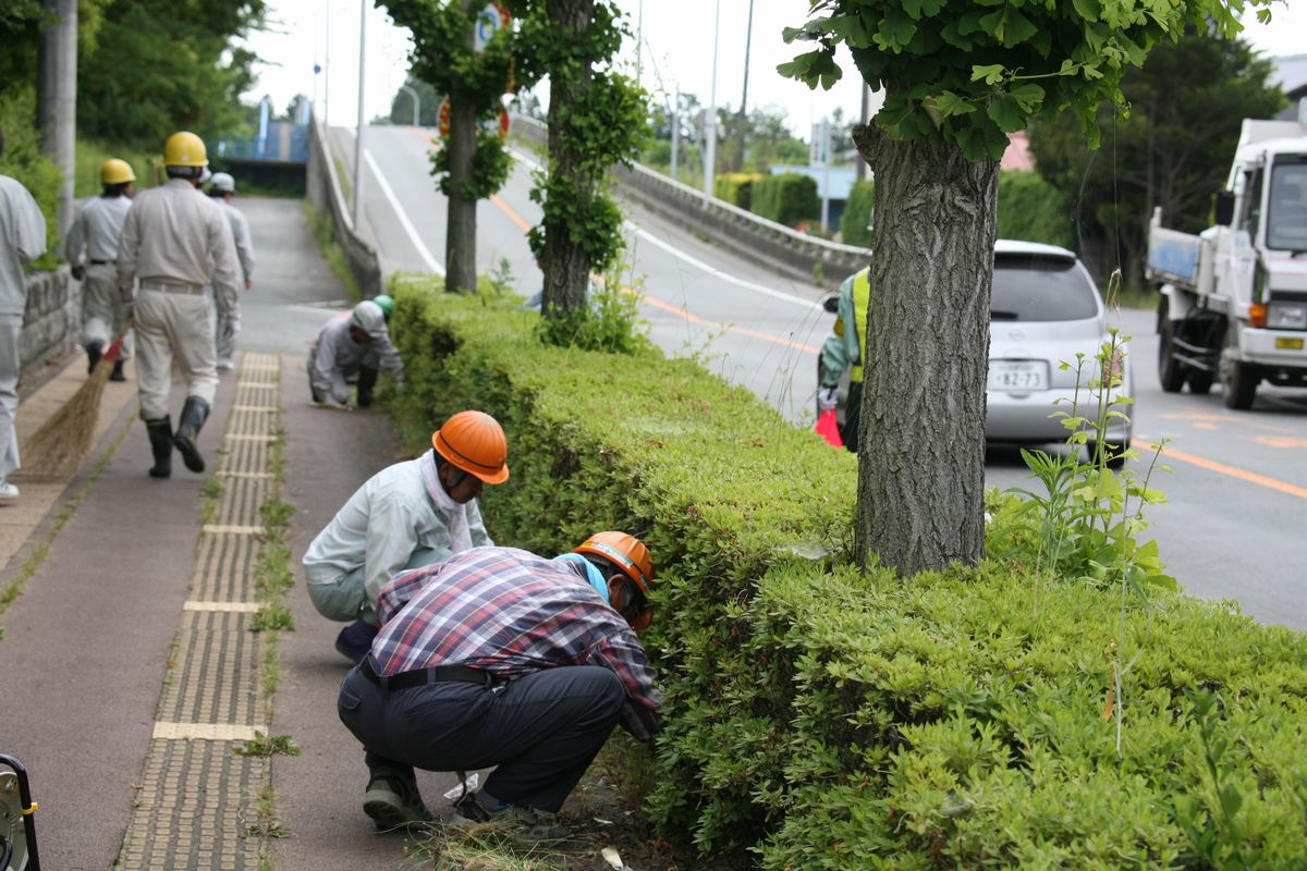 歩道の植え込みの除草作業や投げ捨てられた空き缶や空き瓶を拾う参加者