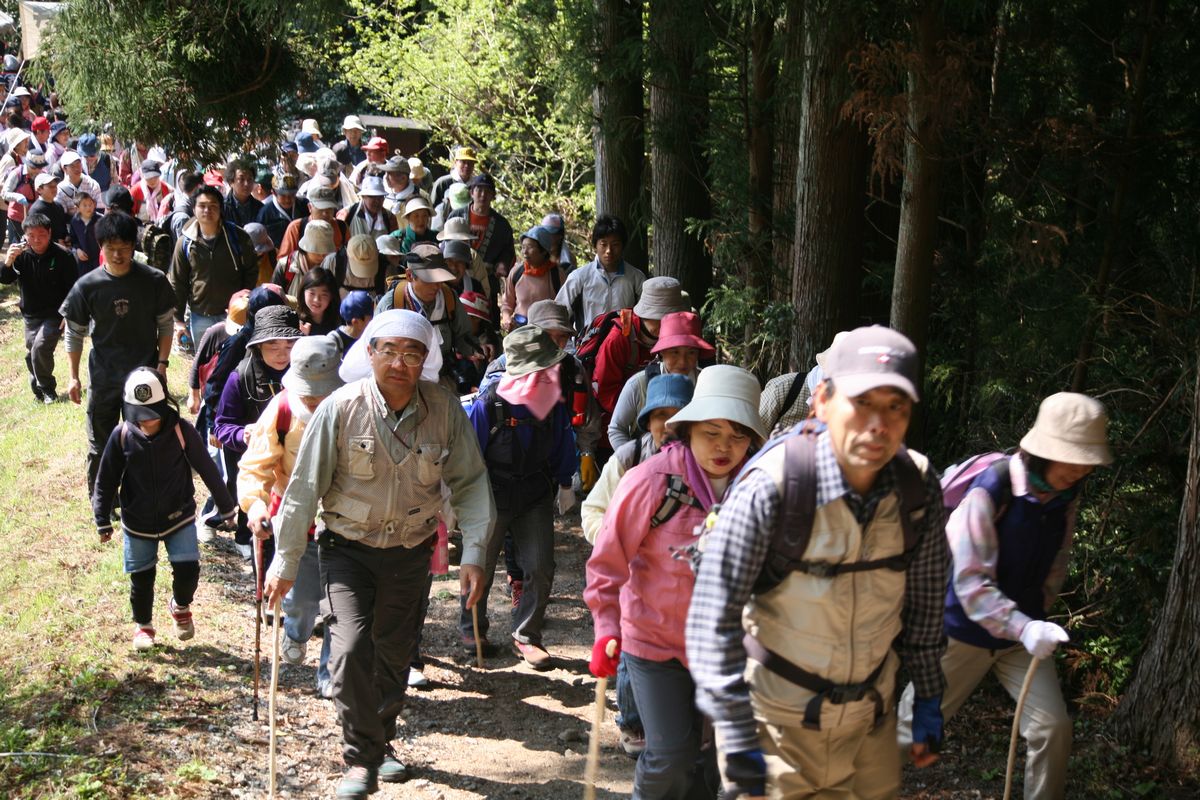 山頂を目指す参加者たち