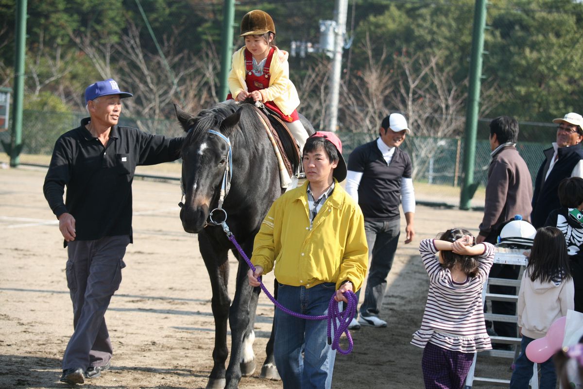 ジョッキー帽をかぶりドキドキした表情で馬に乗る女の子