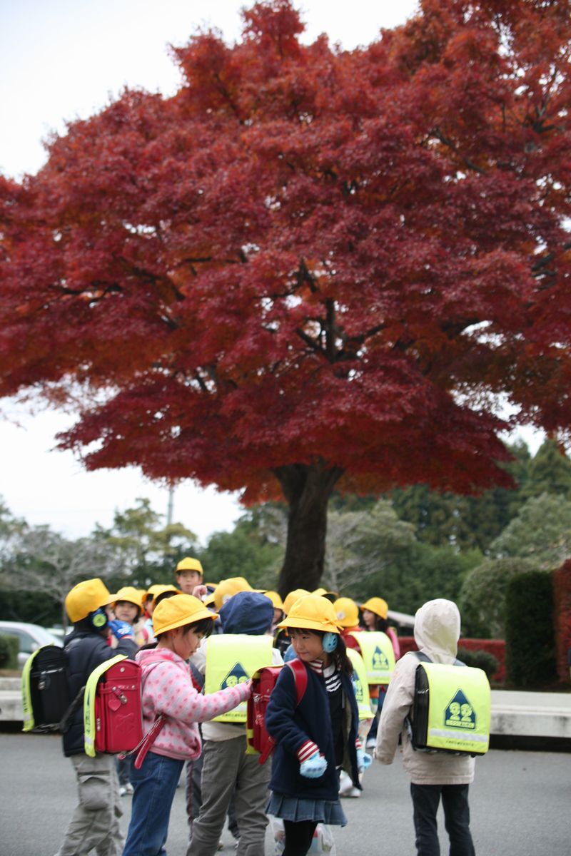 紅葉と下校時間の児童たち