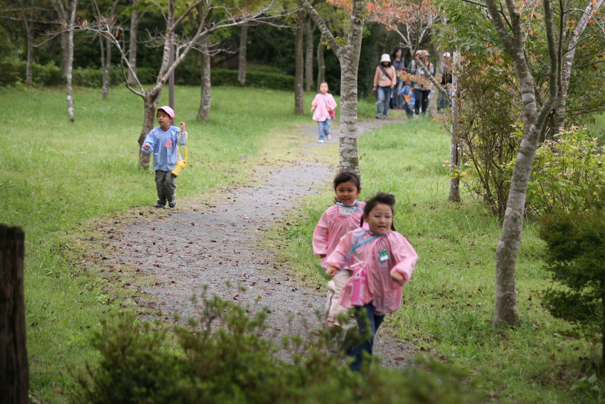 草木花を見渡せる遊歩道を嬉しそうに走る園児