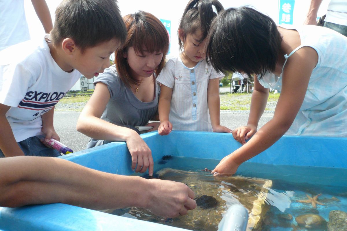 水の生き物を手に取り楽しむ家族連れ